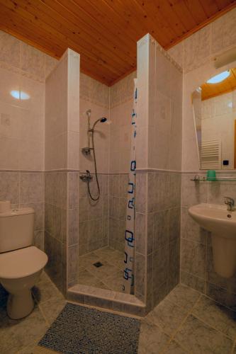 a bathroom with a shower and a toilet and a sink at Horská Kvilda - Ubytování U Chvalů in Horská Kvilda