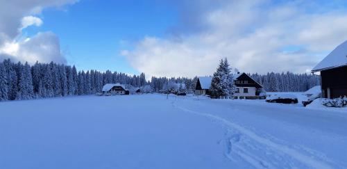 a snow covered field with houses and trees at Horská Kvilda - Ubytování U Chvalů in Horská Kvilda