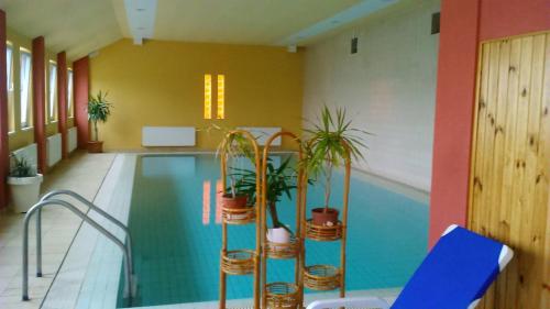 Világos Hotel Balatonvilágos tesisinde veya buraya yakın yüzme havuzu