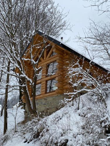 a log cabin in the snow with trees at Chalet PidStromom in Mykulychyn