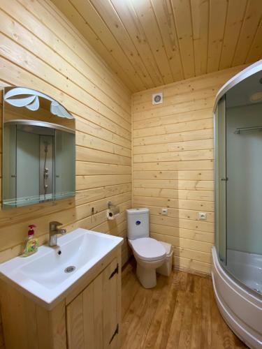 a bathroom with a white sink and a toilet at Chalet PidStromom in Mykulychyn