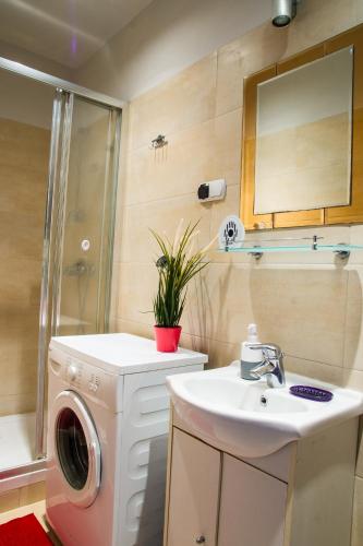 a bathroom with a washing machine and a sink at Apartament Brązowy Narutowicza 11 in Lublin
