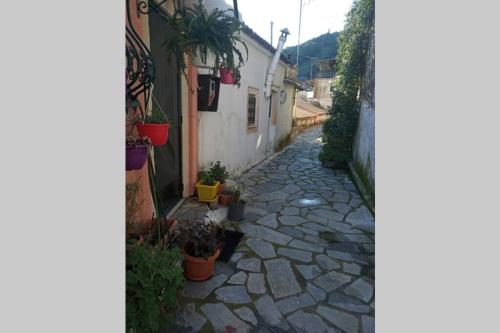an alley with potted plants on the side of a building at Irene's loft in Ágios Matthaíos