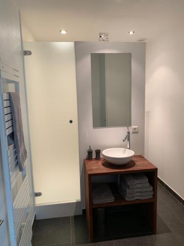 une salle de bain avec un lavabo et un miroir dans l'établissement La Merle, à Veyrier-du-Lac