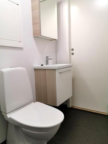 a bathroom with a white toilet and a sink at Lapphaugen Turiststasjon in Tennevoll