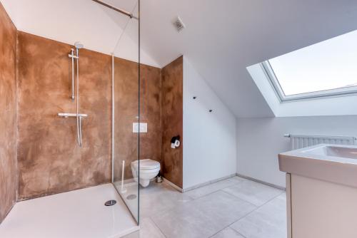 a bathroom with a shower and a toilet and a sink at Gîte de la cascade in Villers-devant-Orval