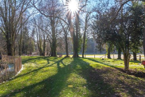 a park with the sun shining through trees and grass at Les Chambres du Vieux Château in Abbaye dʼOrval