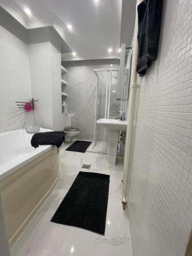 デブレツェンにあるRuben Apartman City Centerのバスルーム(バスタブ、トイレ、シンク付)