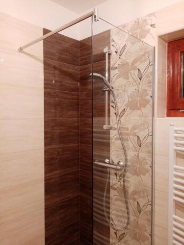 a shower in a bathroom with a glass door at Éva Vendégház in Tata