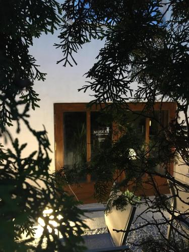 Gallery image of Willa Zdrój in Ciechocinek