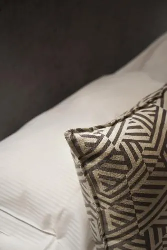 Hôtel Le Roosevelt Lyon photo 8