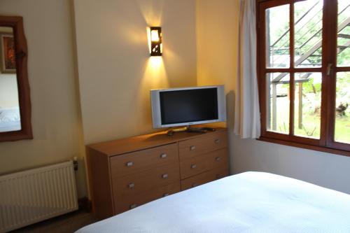 TV a/nebo společenská místnost v ubytování Hotel Malalhue