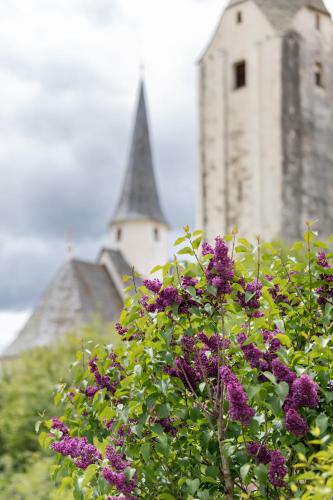 a church with a tower in the background with purple flowers at Urlaub am Lacknerhof - Familie Klocker in Liebenfels