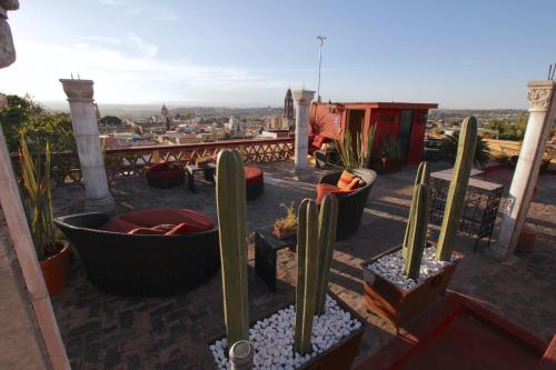 a patio with cacti and plants on a roof at Casa Mia Suites in San Miguel de Allende