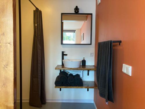 een badkamer met een wastafel en een spiegel bij B&B 't Onderkomen in 't Harde