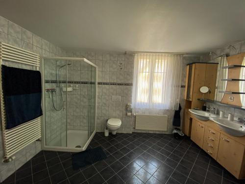 ein Bad mit einer Dusche, einem WC und einem Waschbecken in der Unterkunft Naturaleza Pura in Urnäsch