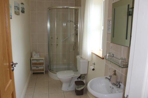 a bathroom with a shower and a toilet and a sink at Kilcatten Lodge in Kilbrittain