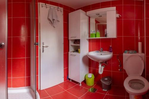 a red bathroom with a toilet and a sink at Mesto za odmor in Zlatibor