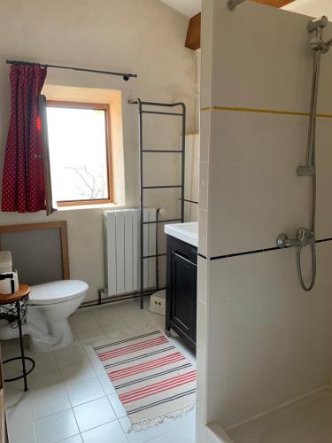 bagno con servizi igienici, lavandino e frigorifero. di FONT NOUVELLE maison de charme Drôme Provençale, 6 ou 10 personnes avec piscine a Plaisians