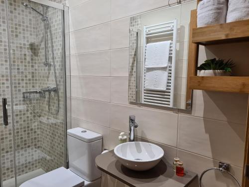 a bathroom with a sink and a toilet and a shower at Casa da Marquesa Sarria in Sarria