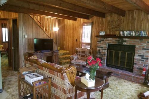a living room with a couch and a fireplace at Regent Hilltop Cabin in Sandyville