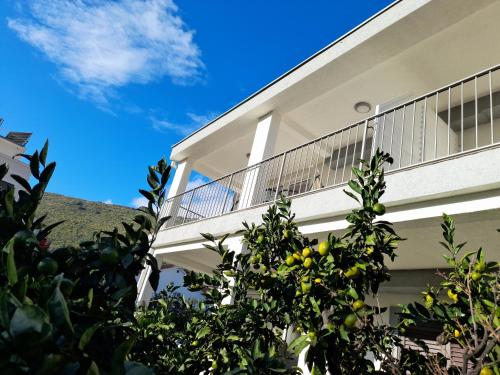 Guest House Djonovicにあるバルコニーまたはテラス