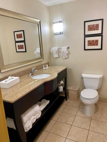 a bathroom with a sink and a toilet and a mirror at Comfort Suites Rock Hill Manchester Meadows Area in Rock Hill