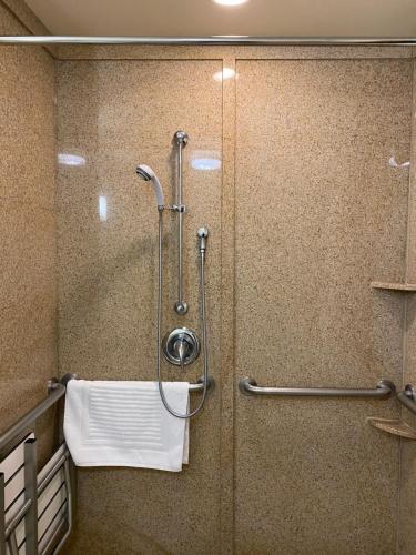 ducha con puerta de cristal y toalla en Comfort Suites Rock Hill Manchester Meadows Area, en Rock Hill