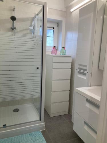 a bathroom with a shower with a glass door at Nieuwendamme 130 vakantiewoning voor 6 personen in Nieuwpoort