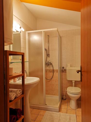 a bathroom with a shower and a toilet and a sink at Apartments Bevk in Piran