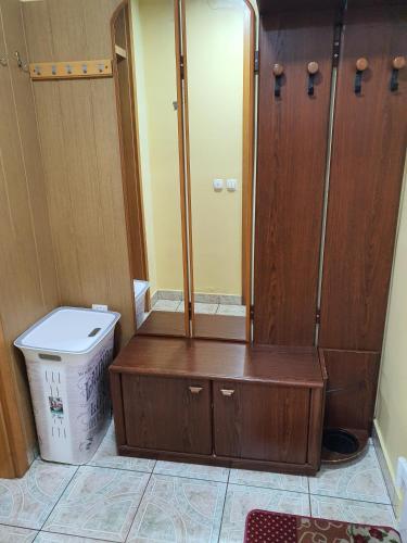 a bathroom with a toilet and a large mirror at Terme Čatež Apartma Nine in Čatež ob Savi