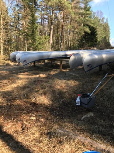 a row of cannons sitting in the woods at Björsjöås Vildmark - Small camping cabin close to nature in Olofstorp