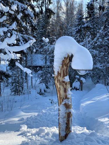 a tree covered in snow in a forest at Toidupada puhkemaja Otepääl in Otepää