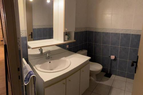 une salle de bain avec un lavabo et des toilettes dans l'établissement Le refuge des marmottes, à Chamrousse