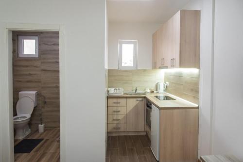 a small kitchen with wooden cabinets and a toilet at APARTMAN TEA in Belgrade