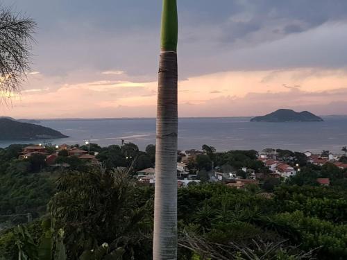 una palmera alta con vistas al océano en Bella Vista Eco Experience, en Búzios