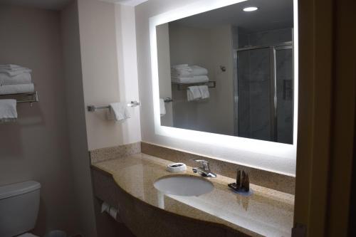 La salle de bains est pourvue d'un lavabo, d'un miroir et de toilettes. dans l'établissement Wingate by Wyndham Baltimore BWI Airport, à Baltimore