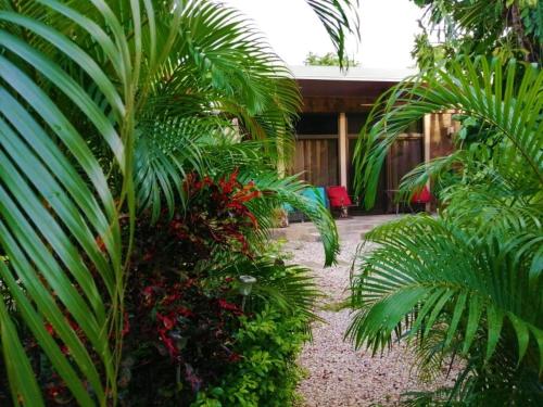 a garden with palm trees and flowers in front of a house at Suite Paraiso Azul in Tamarindo