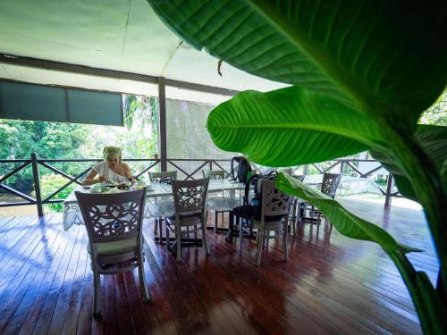 姆魯的住宿－本那拉山林小屋，坐在餐桌上种植植物的女人