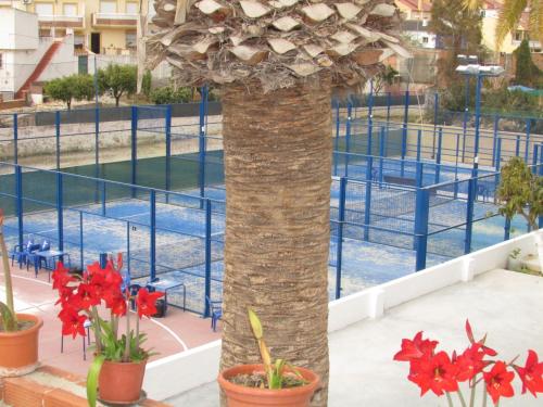 The swimming pool at or close to El Manantial