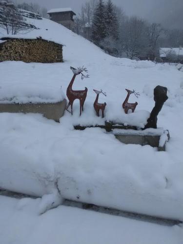 Chalet Génépi v zimě