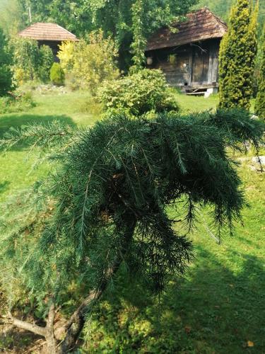 Jardín al aire libre en Плави вајат