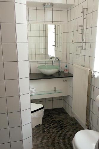 a bathroom with a sink and a toilet and a mirror at Meschermolen 5 in Eijsden