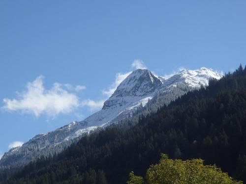 Gallery image of ARLBERGhome Komfort-Apartments & Privat-Sauna in Wald am Arlberg