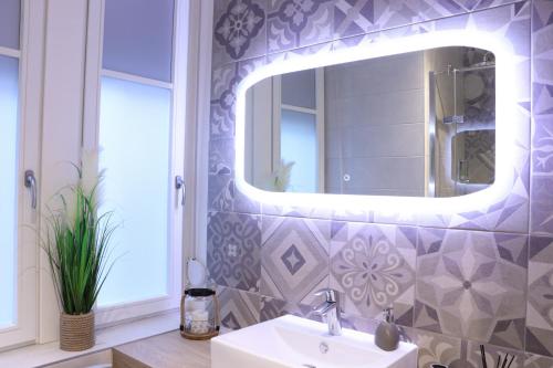 une salle de bain avec un lavabo et un miroir dans l'établissement Le coin 45, à Colmar