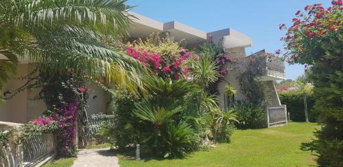 Gallery image of Palm Village in Villasimius