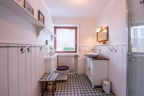 a bathroom with a toilet and a sink and a window at Chiemgau Idyll in Bergen
