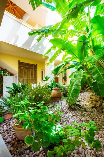 Κήπος έξω από το Anais Collection Hotels & Suites