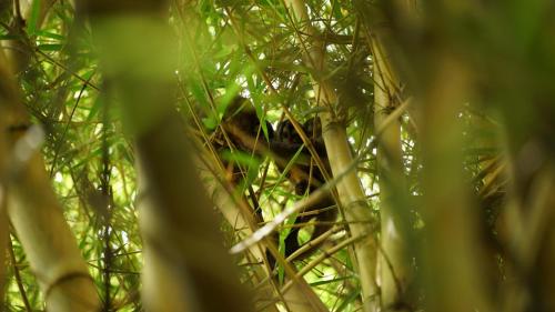 キンバヤにあるFinca La Argeliaのギャラリーの写真