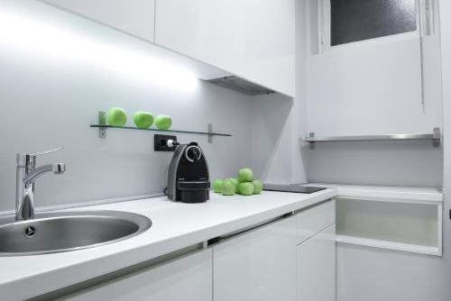 A kitchen or kitchenette at Apartment Silicon Valley